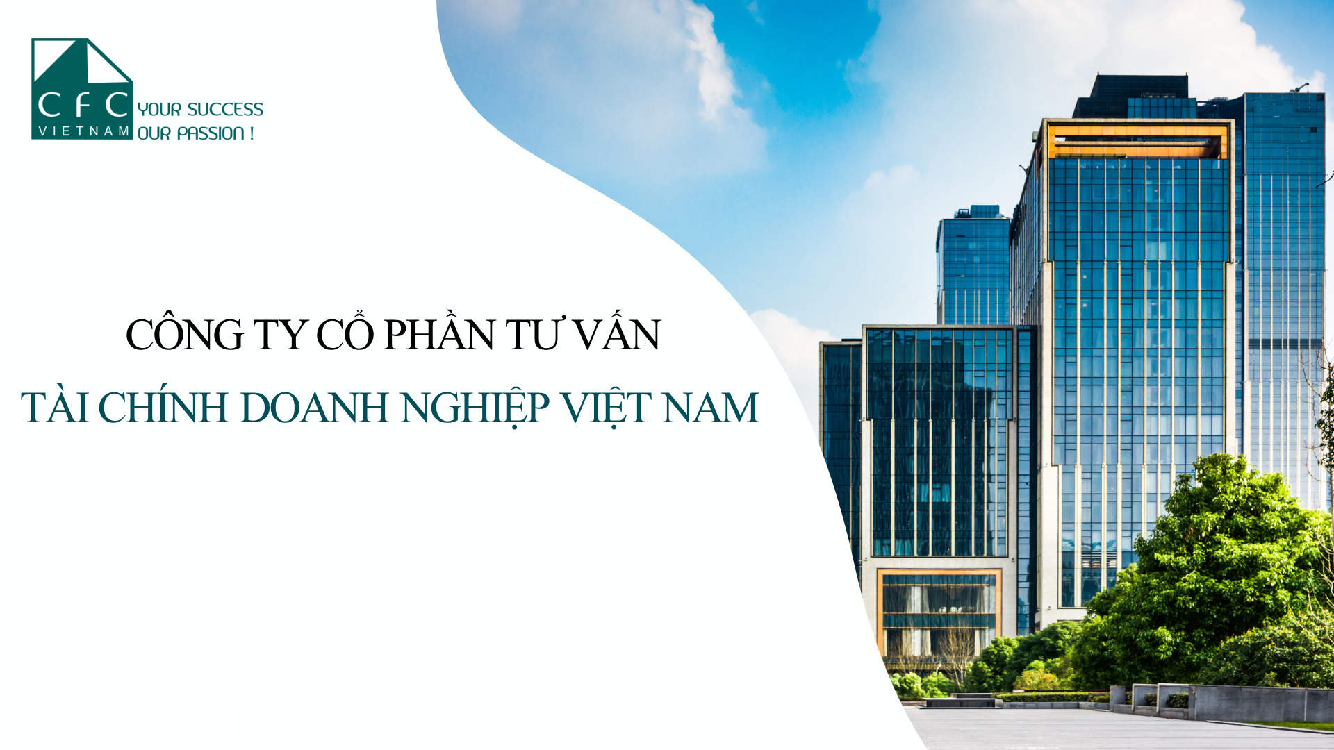 lĩnh vực hoạt động